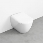 Ceramica Cielo Fluid FLVA wc a pavimento | Edilceram Design